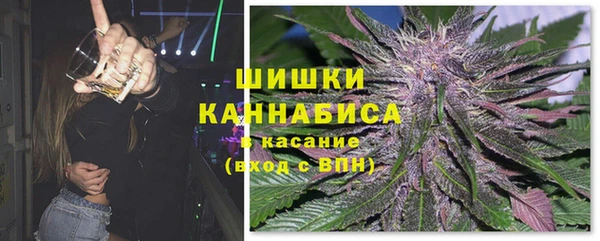 индика Горнозаводск