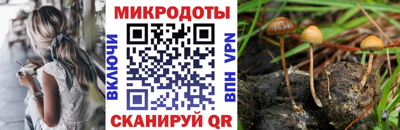 Псилоцибиновые грибы мухоморы  дарнет шоп  OMG ССЫЛКА  Волосово 