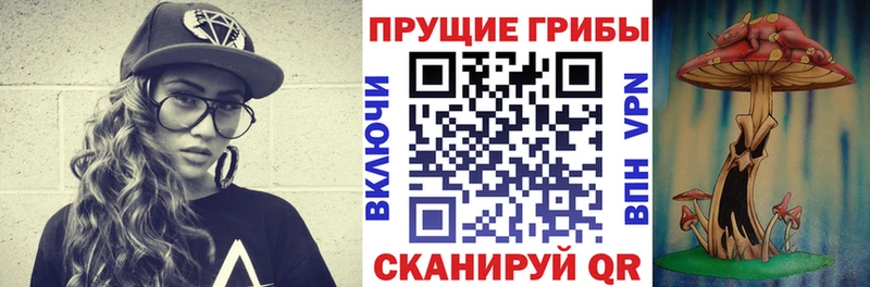 Псилоцибиновые грибы мицелий Волосово